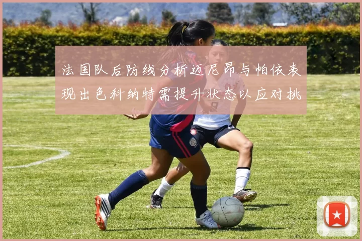 法国队后防线分析迈尼昂与帕依表现出色科纳特需提升状态以应对挑战