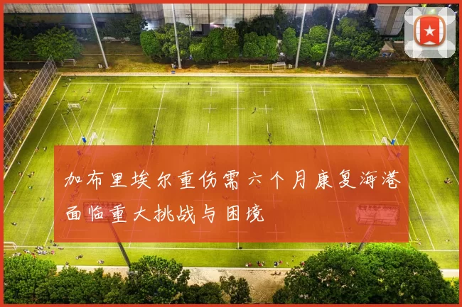 加布里埃尔重伤需六个月康复海港面临重大挑战与困境